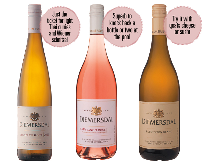 Diemersdal-Wines-1-Web (1)