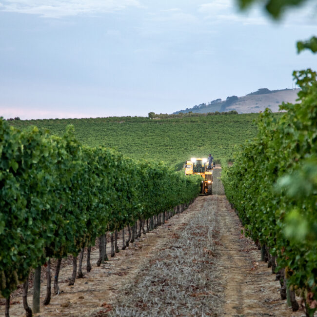 Harvest Report 2026