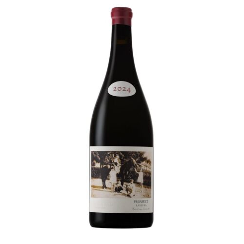 Prospect Barbera 2024 | 1.5L Magnum